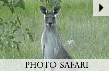 Exclusive Australia Adventure Tours - Fotos