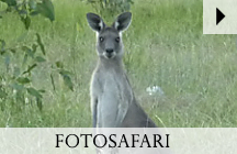 Exclusive Australia Adventure Tours - Fotos